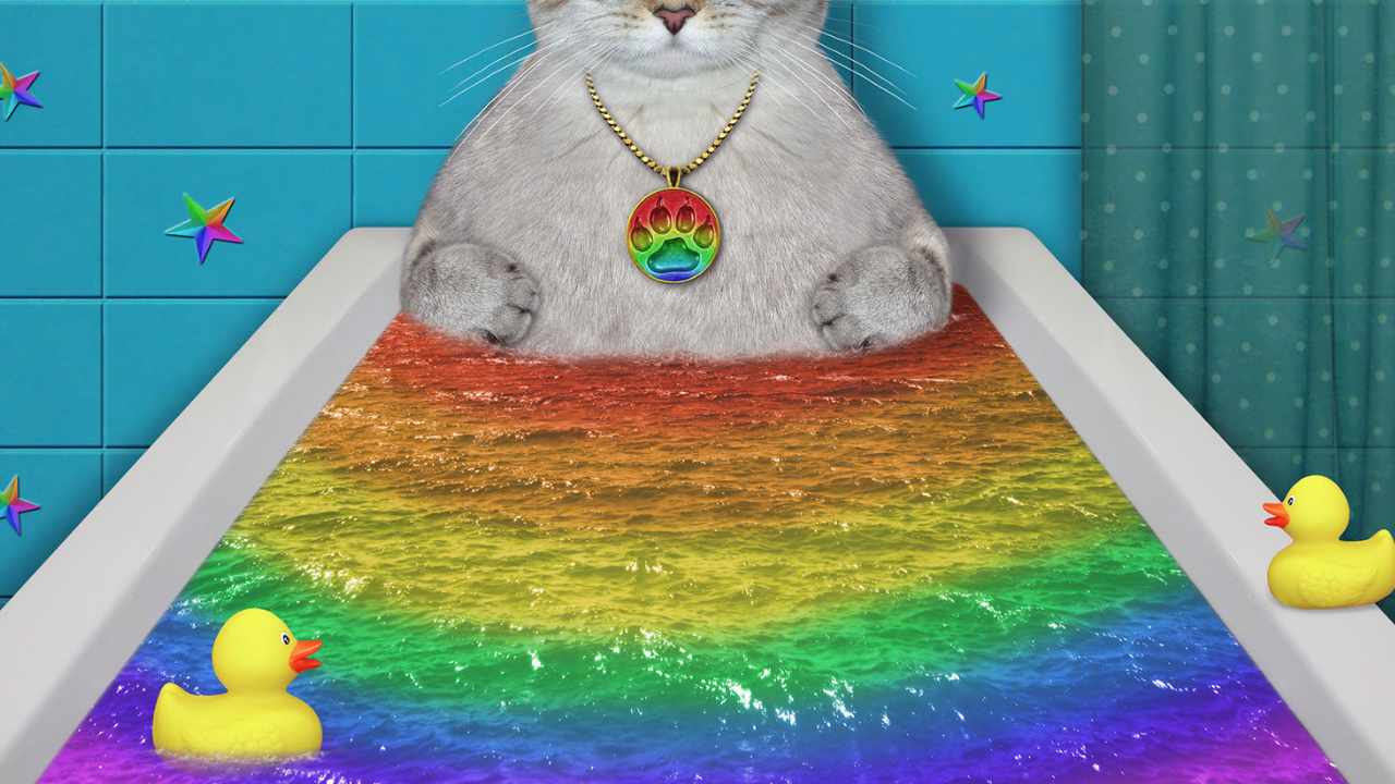 レインボーバスを紹介します