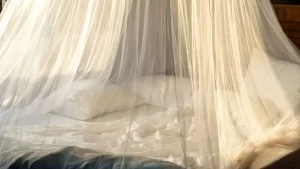 天蓋ベッドを紹介します