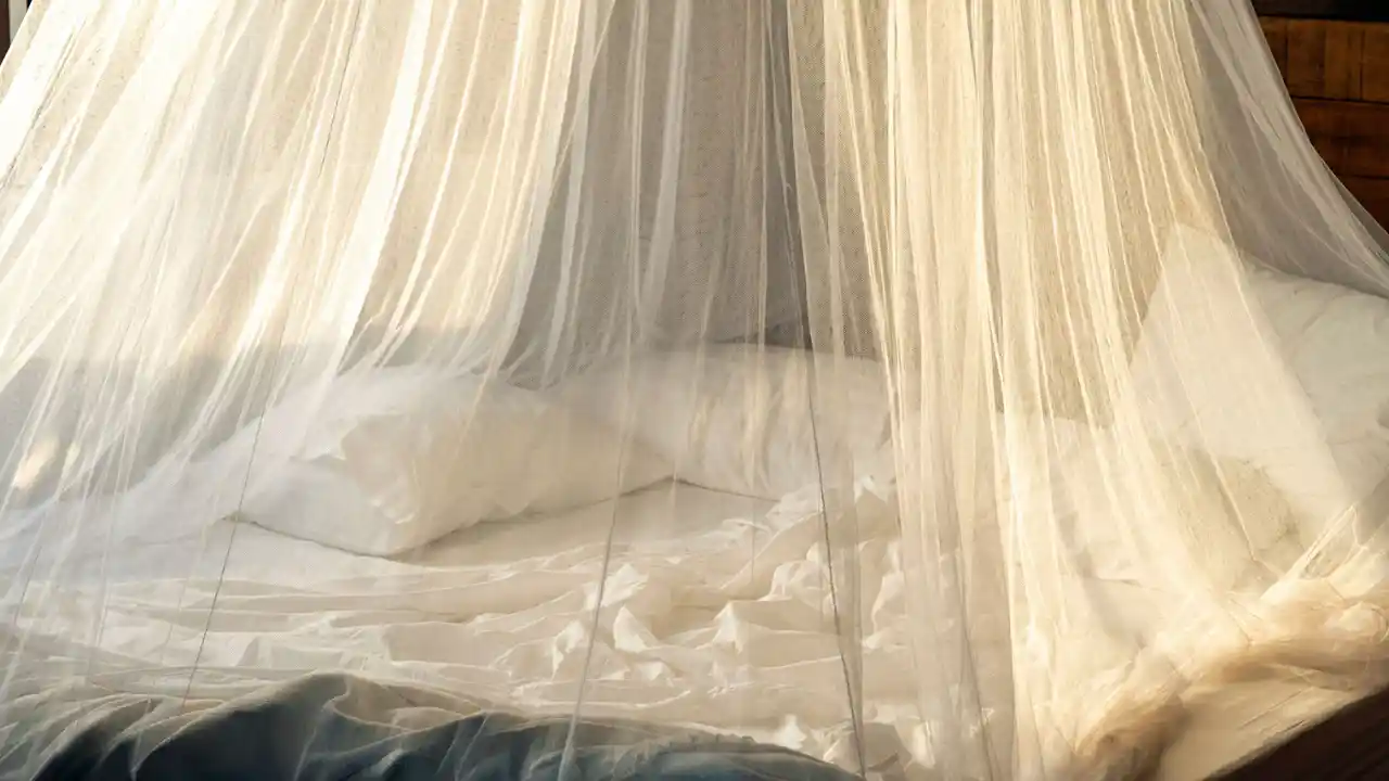 天蓋ベッドを紹介します